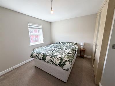 Picture 20